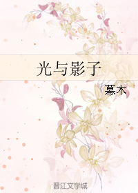 《光与影子》 作者：幕木 txt文件大小：555.65 KB