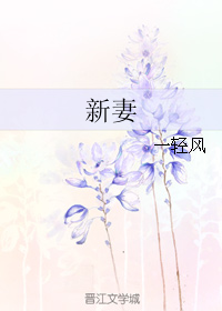 《新妻》 作者：一轻风 txt文件大小：339.21 KB