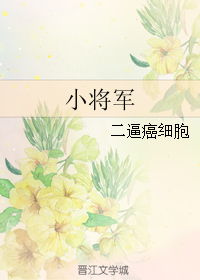 《小将军》 作者：二逼癌细胞 txt文件大小：156.3 KB