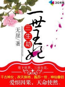 《一世王妃三生劫》 作者：无崖 txt文件大小：833.78 KB