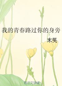 《我的青春路过你的身旁》 作者：末笺 txt文件大小：455.27 KB