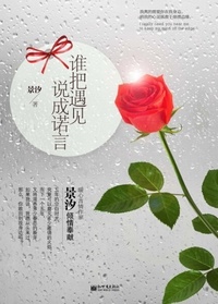《谁把遇见说成诺言》 作者：景汐汐 txt文件大小：289.73 KB