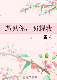 《遇见你，照耀我》 作者：禹人 txt文件大小：202.97 KB