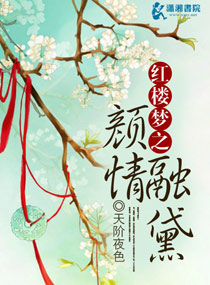 《（红楼同人）红楼梦之颜情融黛》 作者：天阶夜色 txt文件大小：240.11 KB