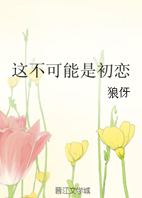 《这不可能是初恋》 作者：狼伢 txt文件大小：72.17 KB