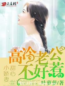 《甜心小娇妻：高冷老公不好惹》 作者： txt文件大小：1.4 MB
