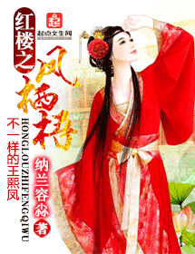 《（红楼梦同人）红楼之凤栖梧》 作者：纳兰容尛 txt文件大小：1.64 MB