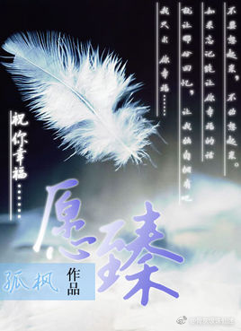 《愿臻》 作者：广野/孤枫 txt文件大小：492.03 KB