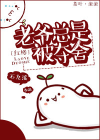 《（红楼同人）老爷总是被夺舍》 作者：石九溪 txt文件大小：554.75 KB