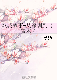 《双城故事-从深圳到乌鲁木齐》 作者：杨逍 txt文件大小：500.74 KB