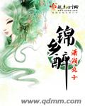 《锦乡醉-锦乡醉之青离》 作者：潇湘丸子 txt文件大小：303.11 KB