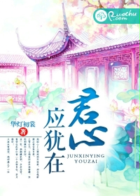 《君心应犹在》 作者：华灯初裳 txt文件大小：1.17 MB