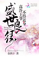 《盛世良缘：高冷王爷不得近身》 作者：金四十 txt文件大小：1.15 MB