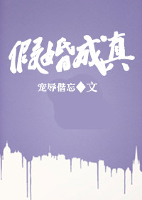 《假婚成真-何先生上位记》 作者：宠辱偕忘 txt文件大小：311.9 KB