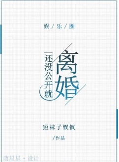 《还没公开就离婚[娱乐圈]》 作者：短袜子钗钗 txt文件大小：905.48 KB