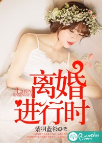 《离婚进行时》 作者：紫羽蓝衫 txt文件大小：446.24 KB