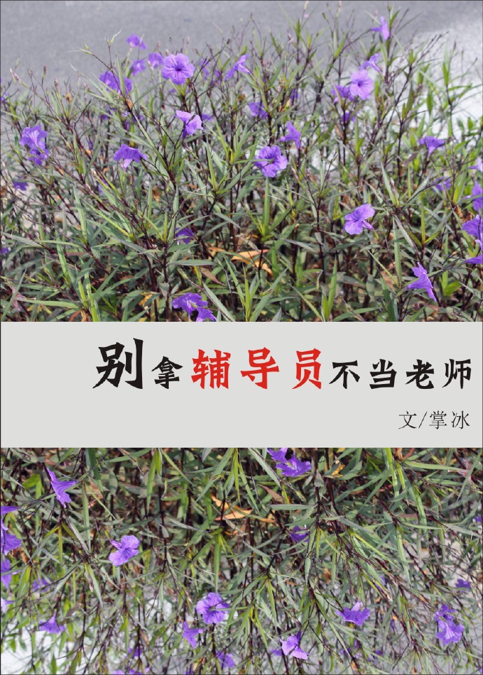 《别拿辅导员不当老师》 作者：掌冰 txt文件大小：262.41 KB