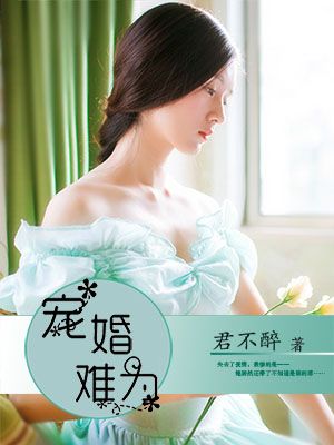 《宠婚难为》 作者：君不醉 txt文件大小：1.64 MB