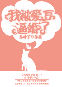 《我被爱豆逼婚了》 作者：易叶子 txt文件大小：404.6 KB
