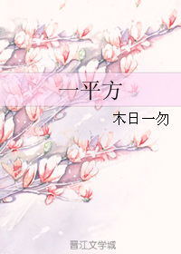 《一平方》 作者：木日一勿 txt文件大小：303.83 KB