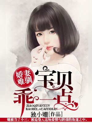 《娇妻难驯：宝贝，乖一点》 作者：独小姗 txt文件大小：684.21 KB