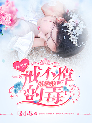《顾先生，你是我戒不掉的毒！》 作者：暖小苏 txt文件大小：121.86 KB
