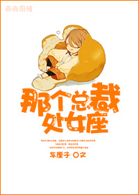 《那个总裁，处女座》 作者：四时江南/江南四时/樱桃/车厘子 txt文件大小：442.13 KB