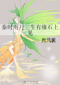 《（秦时明月同人）秦时明月三生有缘石上见》 作者：岚风裳 txt文件大小：101.74 KB