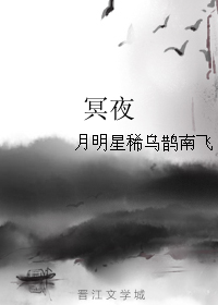 《冥夜》 作者：月明星稀乌鹊南飞 txt文件大小：142.59 KB