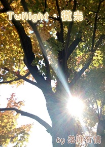 《（TFboy同人）Twilight·微光（王俊凯BG）》 作者：落叶有情 txt文件大小：182.04 KB