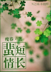 《蜚短情长》 作者：瘦春 txt文件大小：407.49 KB