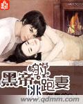 《黑帝的逃跑妻》 作者：跳儛的DJ txt文件大小：1.69 MB