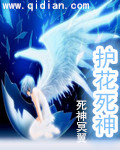 《护花死神》 作者：死神冥翼 txt文件大小：2.41 MB