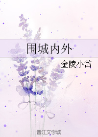 《围城内外》 作者：金陵小岱 txt文件大小：246.38 KB