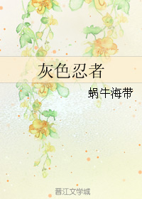 《灰色忍者》 作者：蜗牛海带 txt文件大小：298.76 KB