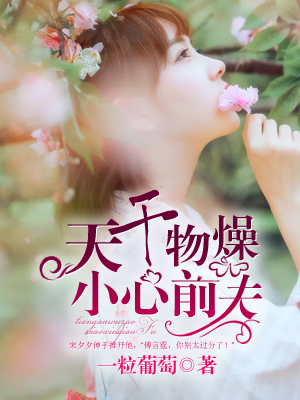 《天干物燥，小心前夫》 作者：一粒葡萄 txt文件大小：653.03 KB