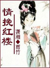 《（红楼同人）情挽红楼》 作者：雨竹 txt文件大小：1.01 MB
