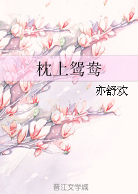 《枕上鸳鸯》 作者：亦舒欢 txt文件大小：441.32 KB