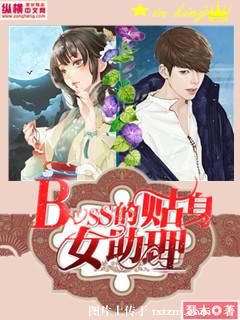 《boss的贴身女助理》 作者：瑟木 txt文件大小：1.19 MB