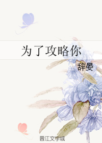 《为了攻略你》 作者：辞晏 txt文件大小：427.16 KB