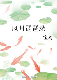 《风月琵琶录》 作者：宝鸾 txt文件大小：90.47 KB