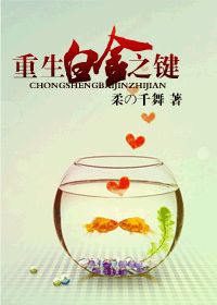 《重生白金之键》 作者：柔の千舞 txt文件大小：360.24 KB