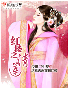 《（红楼同人）红楼之清莲》 作者：浮世三生梦 txt文件大小：2.59 MB