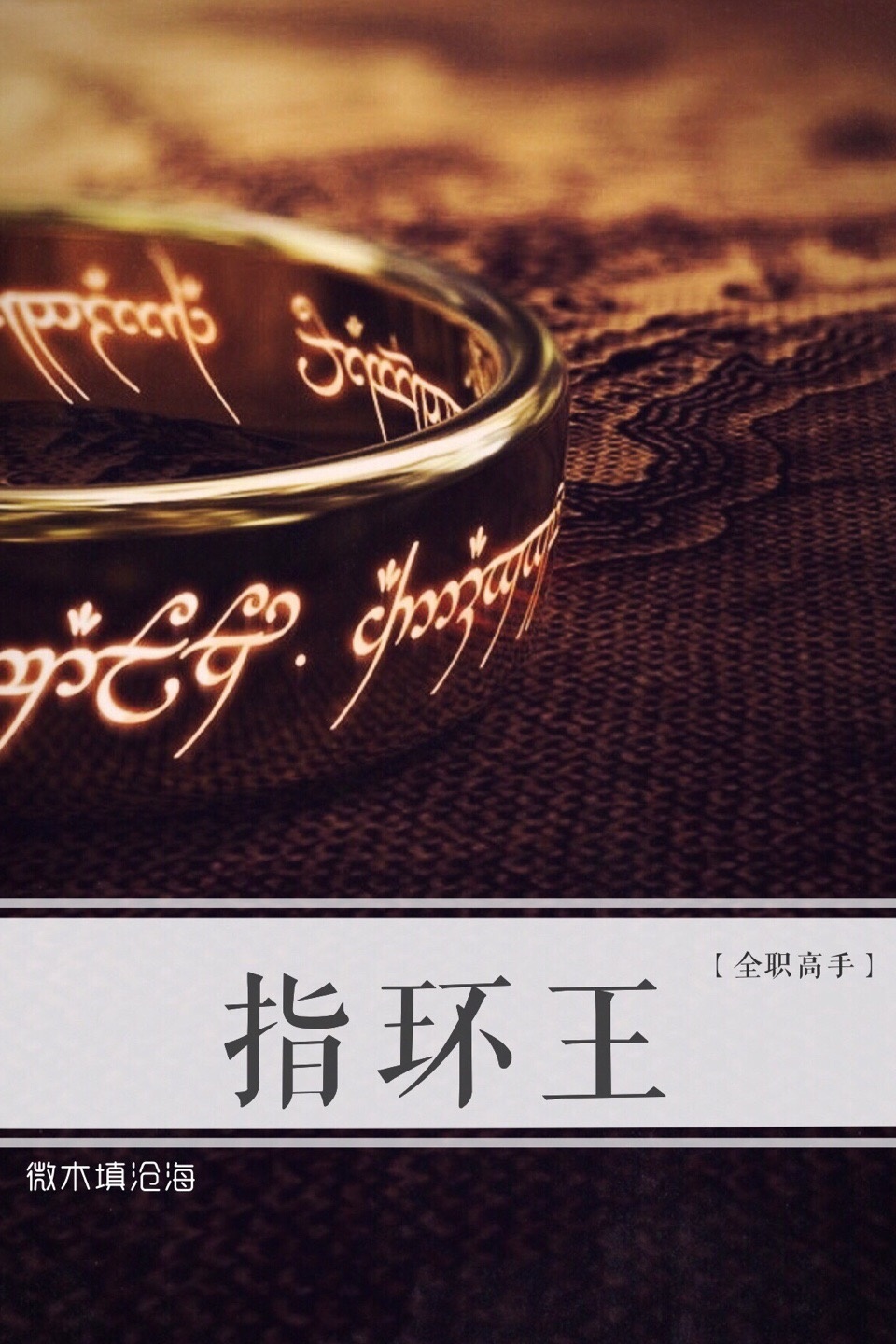 《（全职高手同人）[全职高手]指环王》 作者：微木填沧海 txt文件大小：130.69 KB