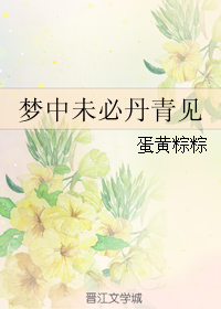 《梦中未必丹青见》 作者：蛋黄粽粽 txt文件大小：330.5 KB