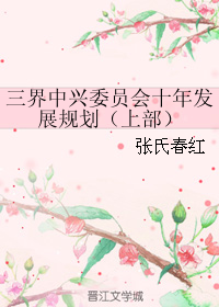 《三界中兴委员会十年发展规划（上部）》 作者：张氏春红 txt文件大小：293.59 KB