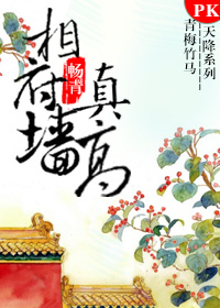 《相府墙真高》 作者：畅青 txt文件大小：408.25 KB