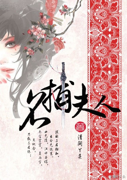 《名捕夫人》 作者：清闲丫头 txt文件大小：731.03 KB