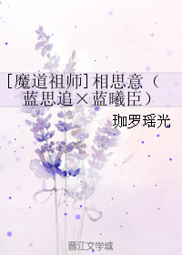 《（魔道祖师同人）[魔道祖师]相思意（蓝思追×蓝曦臣）》 作者：珈罗瑶光 txt文件大小：30.95 KB