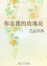 《你是我的玫瑰花》 作者：三山六水 txt文件大小：183.78 KB